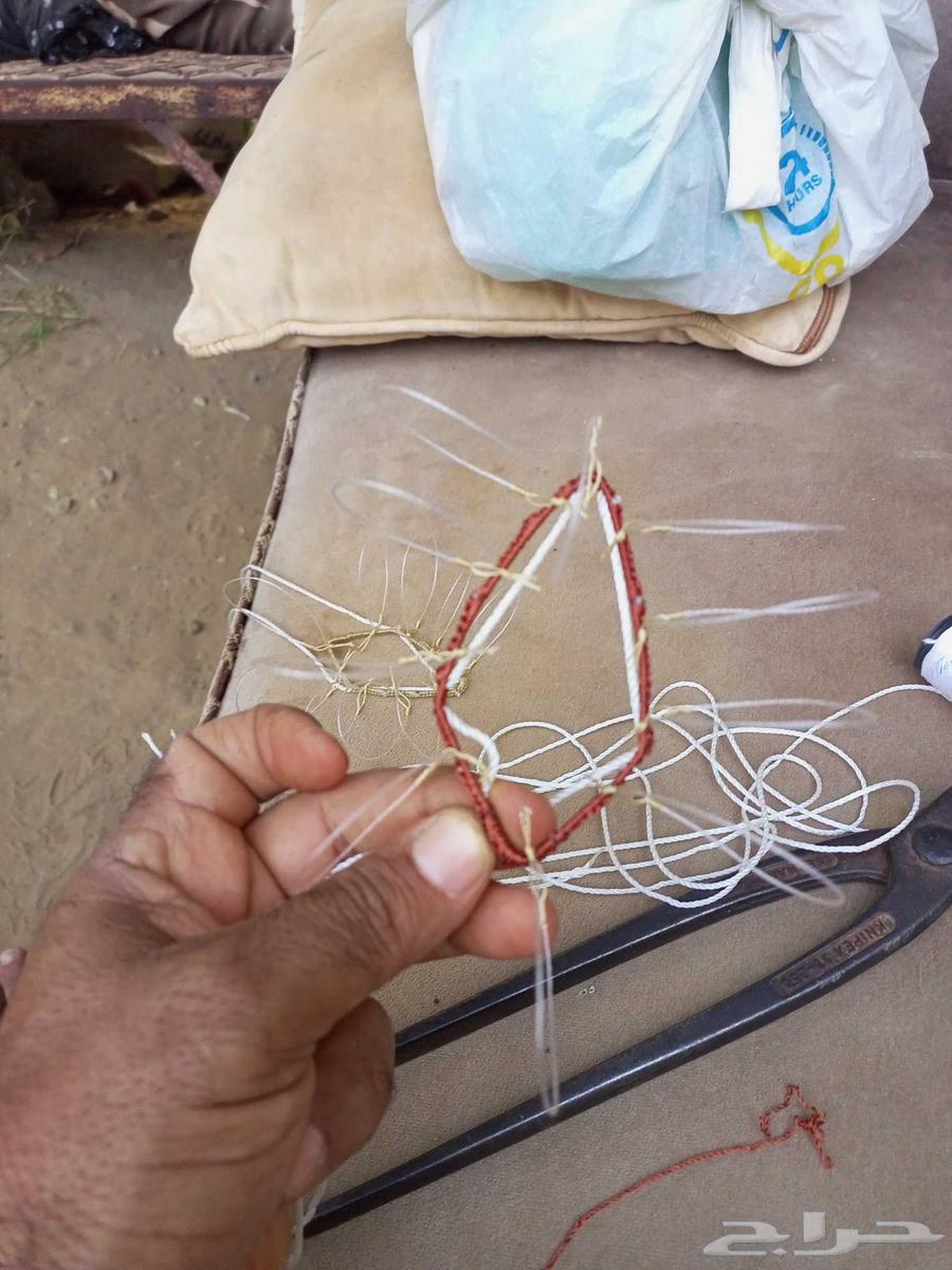 Hawk Trapping Net64391388627331111