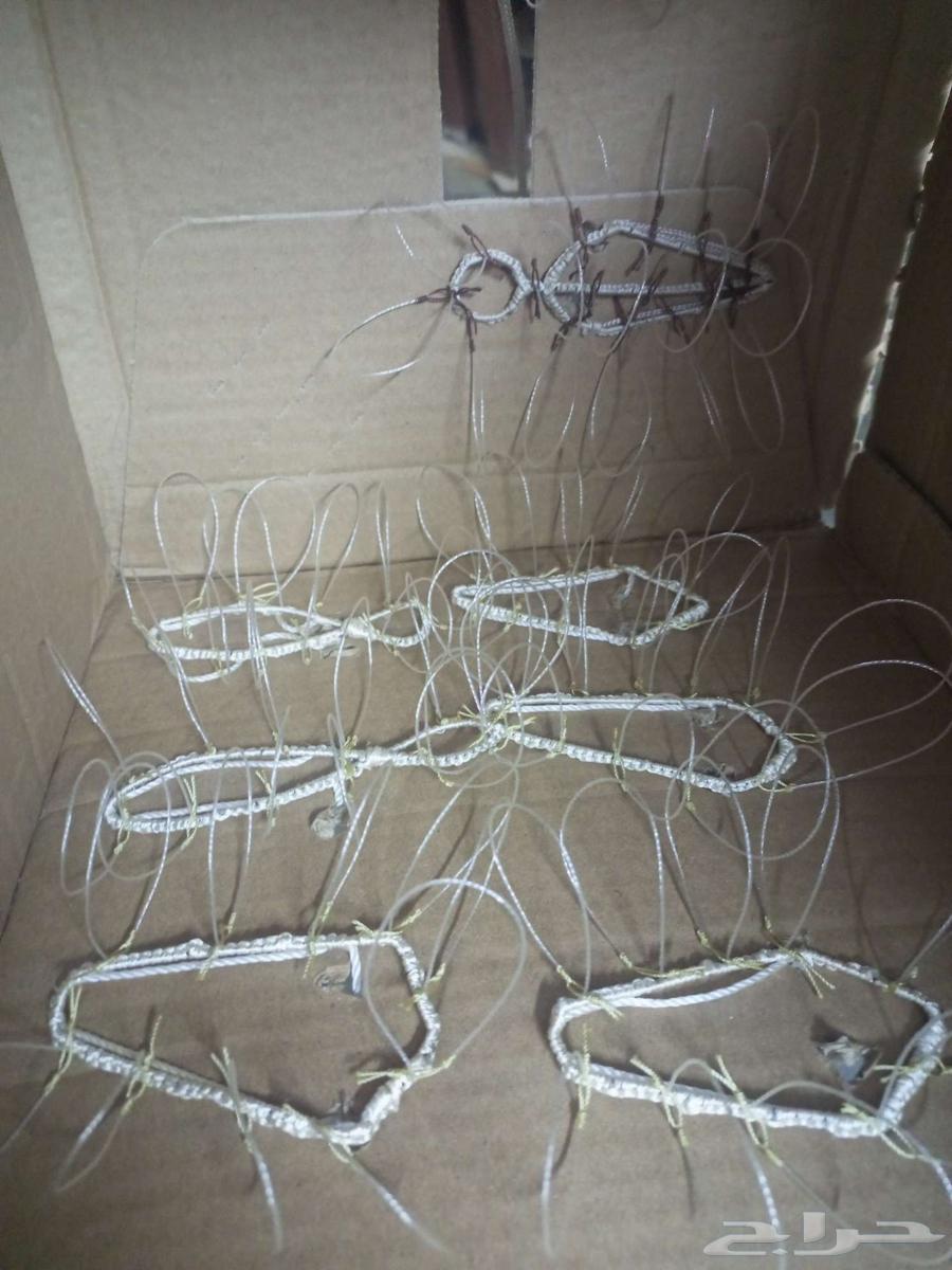 Hawk Trapping Net64391388627331110