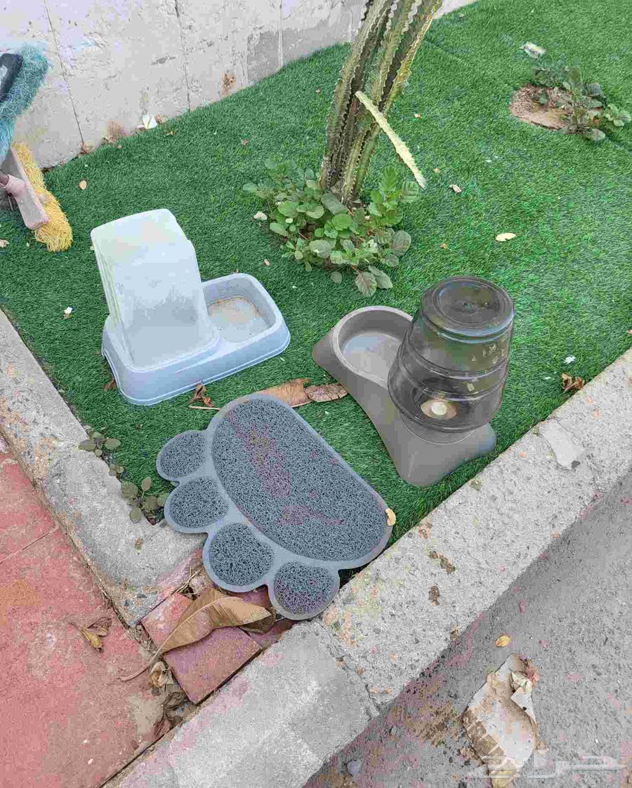 مكيف و بيت قطط و قفص طيور64386431196546114