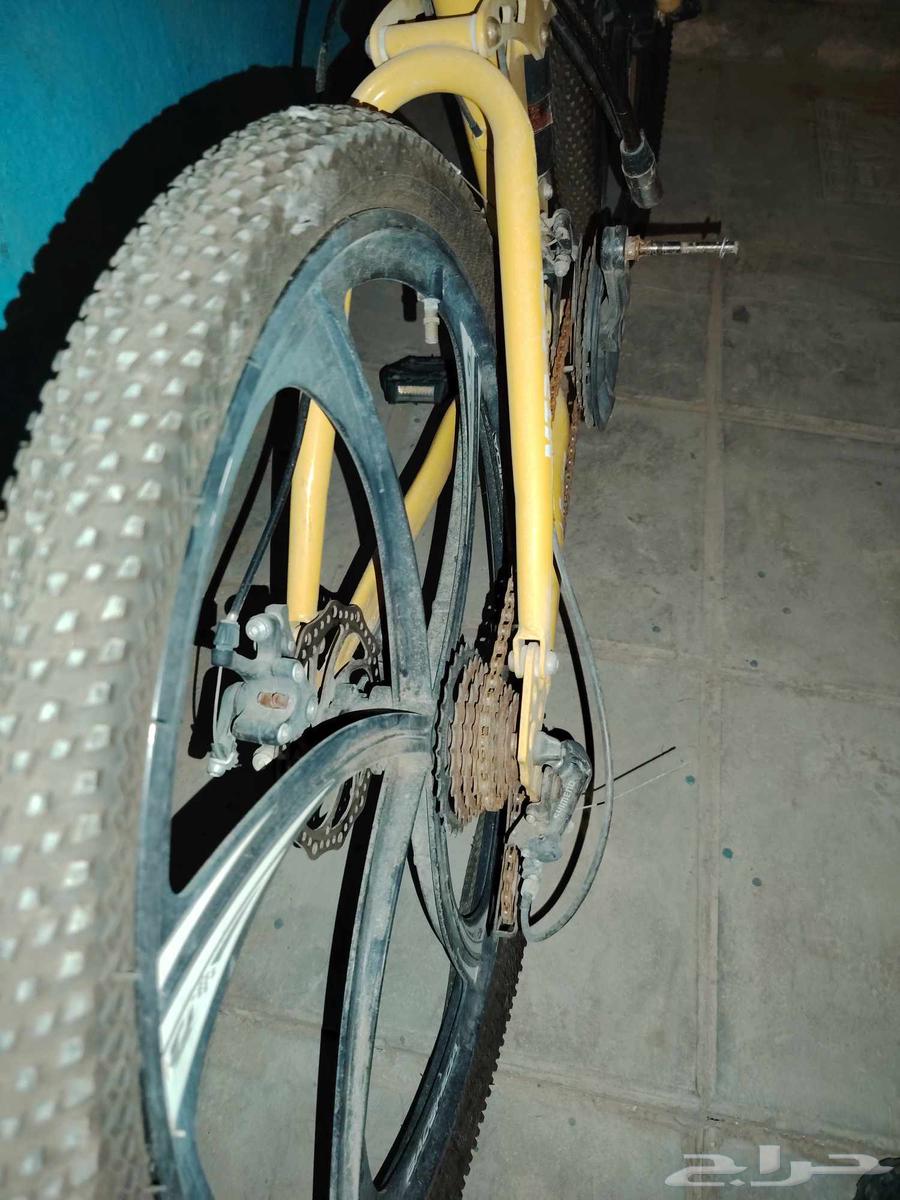 سيكل وسكوتر للبيع64389902307457113