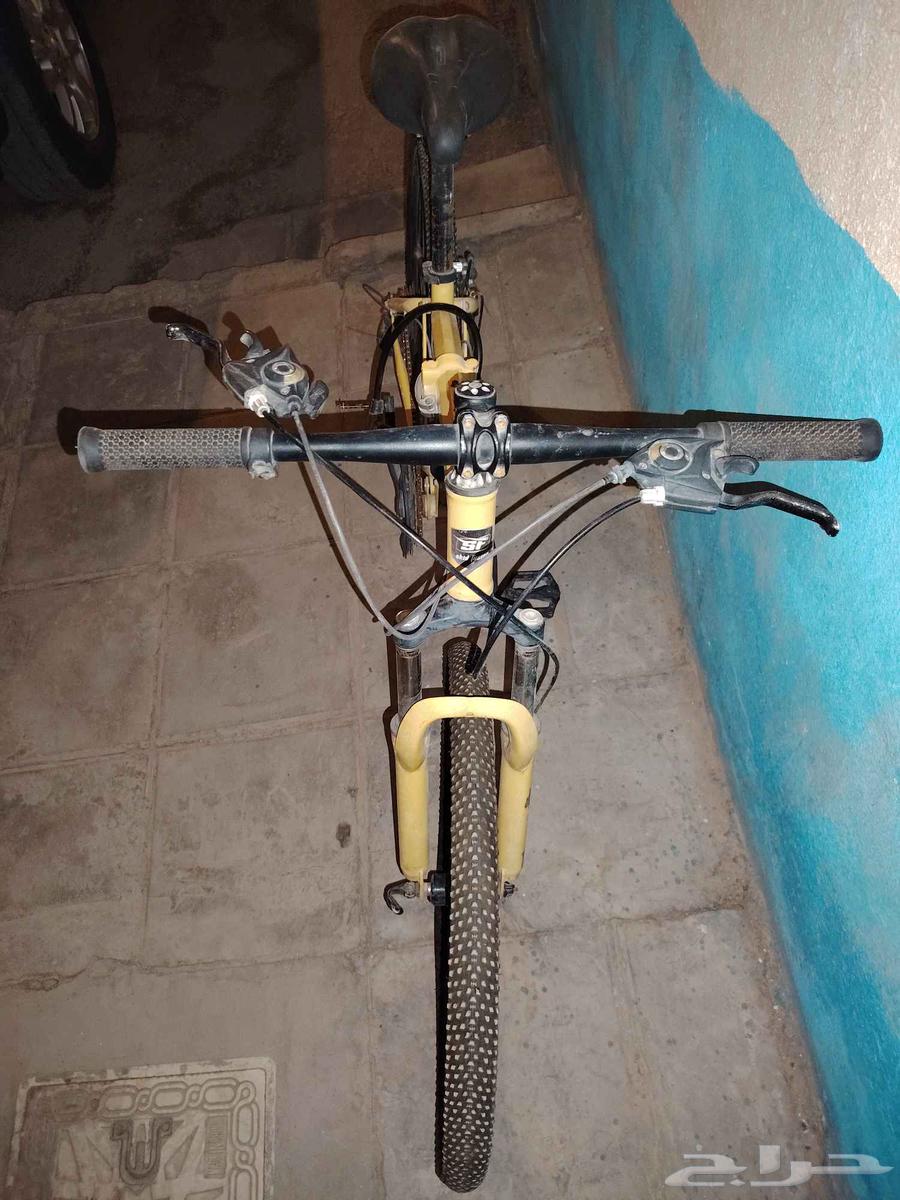 سيكل وسكوتر للبيع64389902307457112