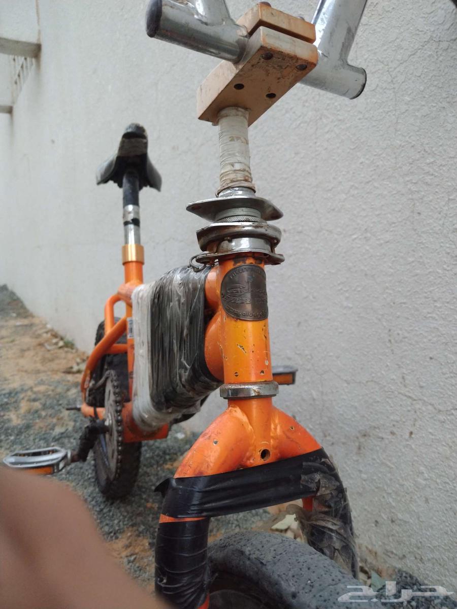 Clean Cobra bicycle for rent, used for two years, price limit 70 SAR64387509017474110