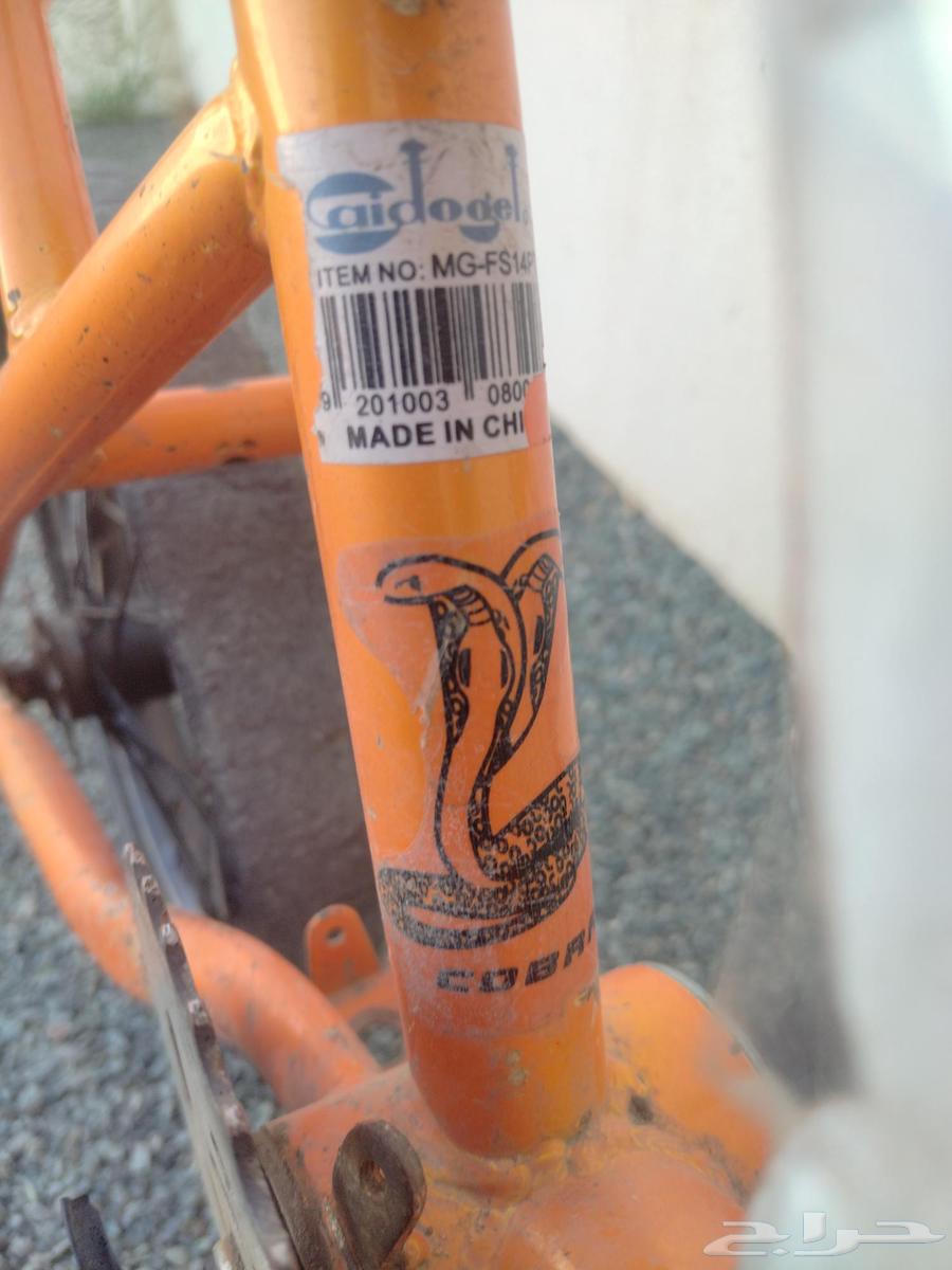 Clean Cobra bicycle for rent, used for two years, price limit 70 SAR64387509017474114
