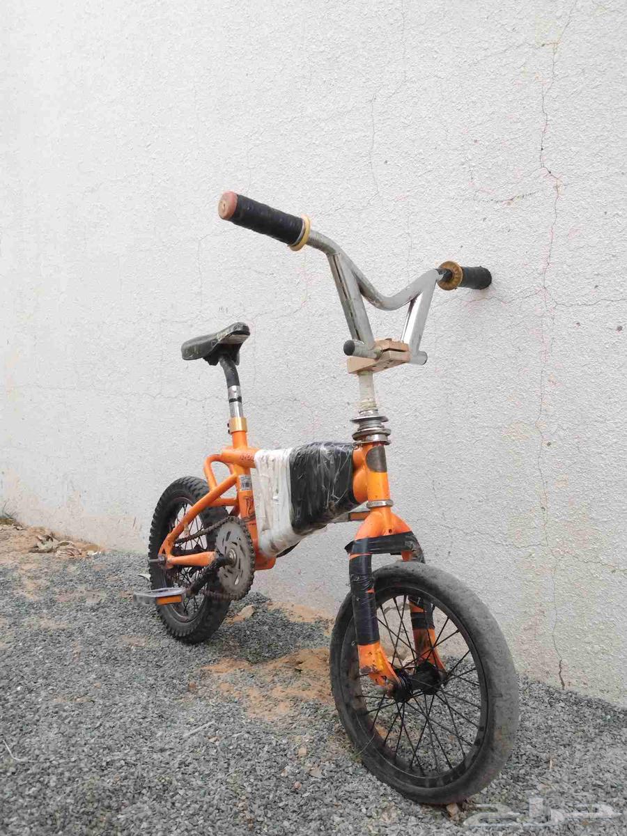 Clean Cobra bicycle for rent, used for two years, price limit 70 SAR64387509017474112