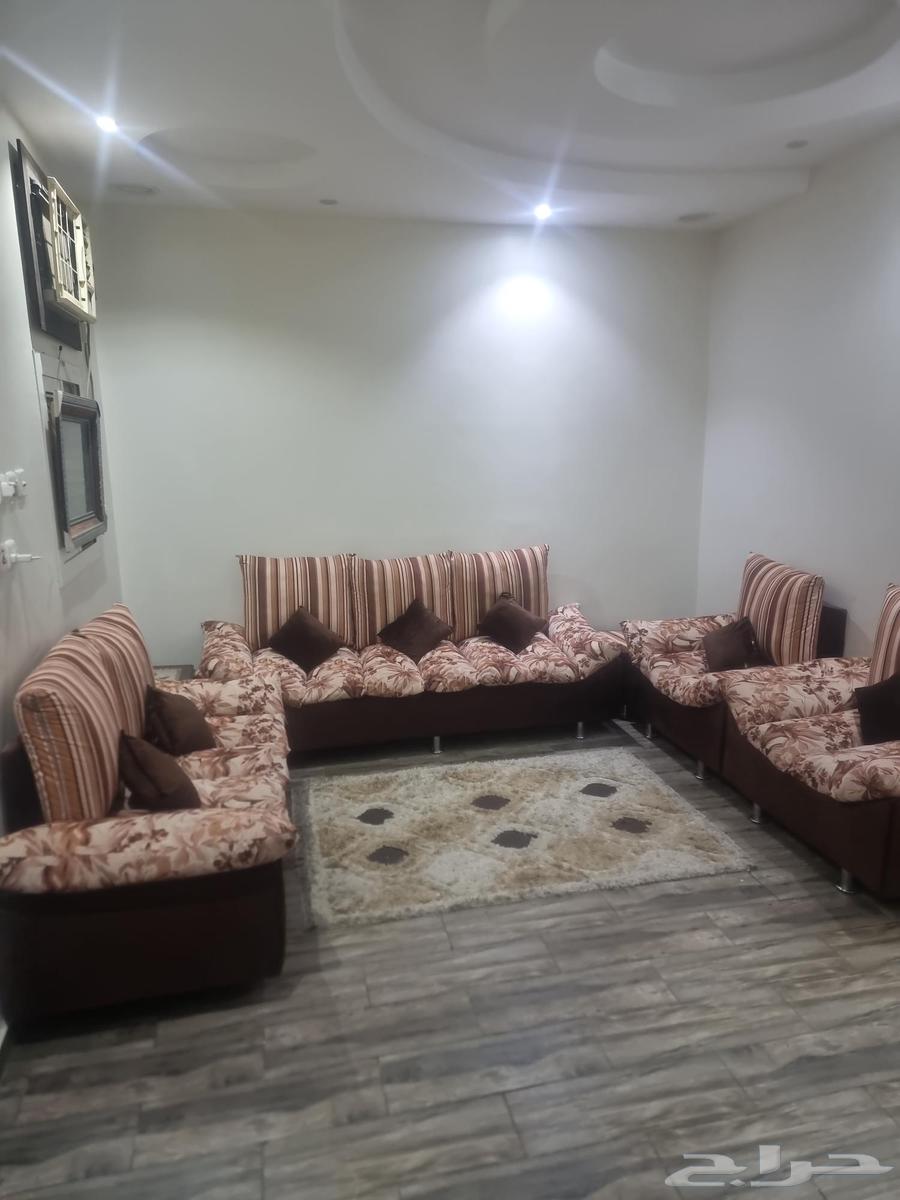 كنب نظيف بحاله جيد جدا64377564865282111