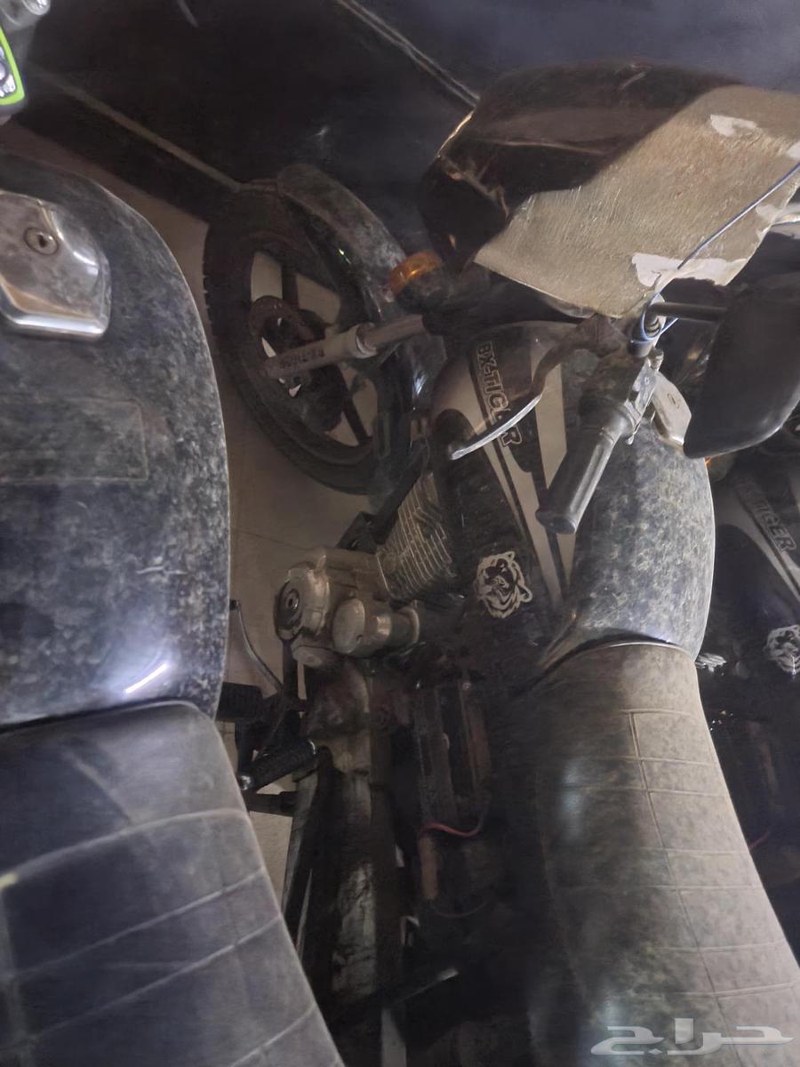 8 دبابات تايغر مستخدمة الممشى 5499 الي 841464535085697922111