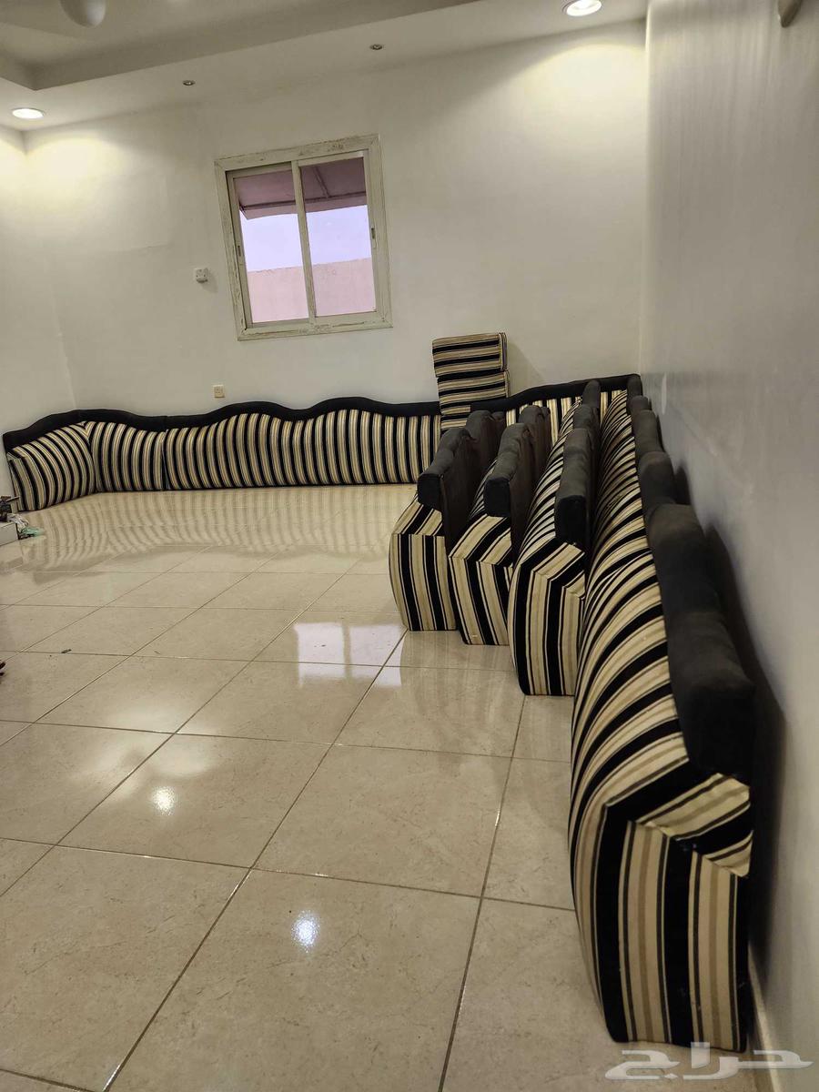 Back supports and cushions64379573637762112