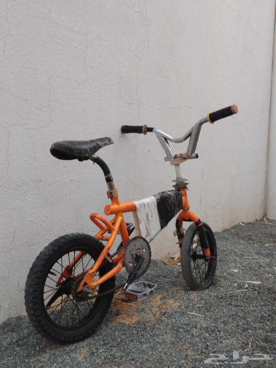 Clean Cobra bicycle for rent, used for two years, price limit 70 SAR64387509017474111