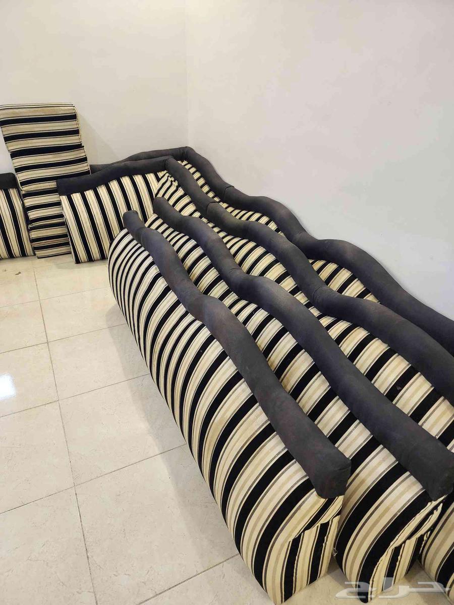 Back supports and cushions64379573637762114