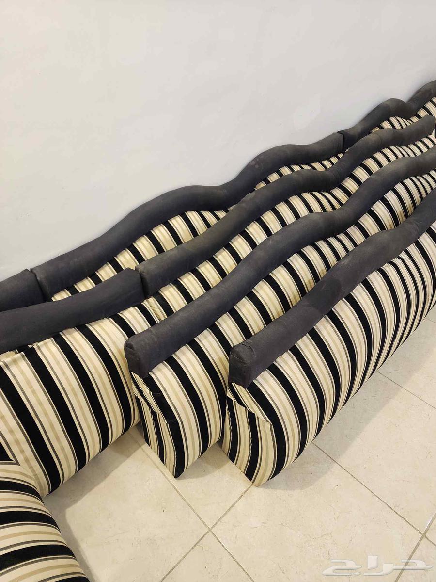 Back supports and cushions64379573637762113