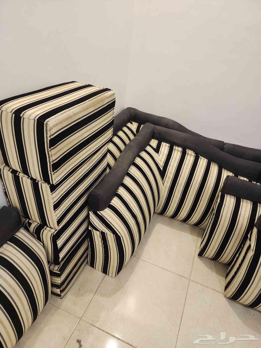 Back supports and cushions64379573637762110