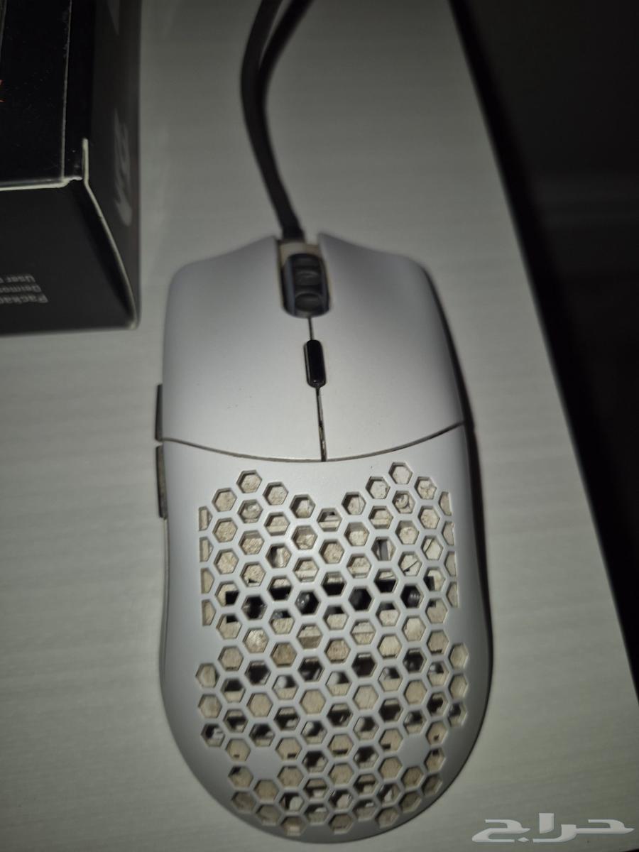Gloris mouse64382900906625110