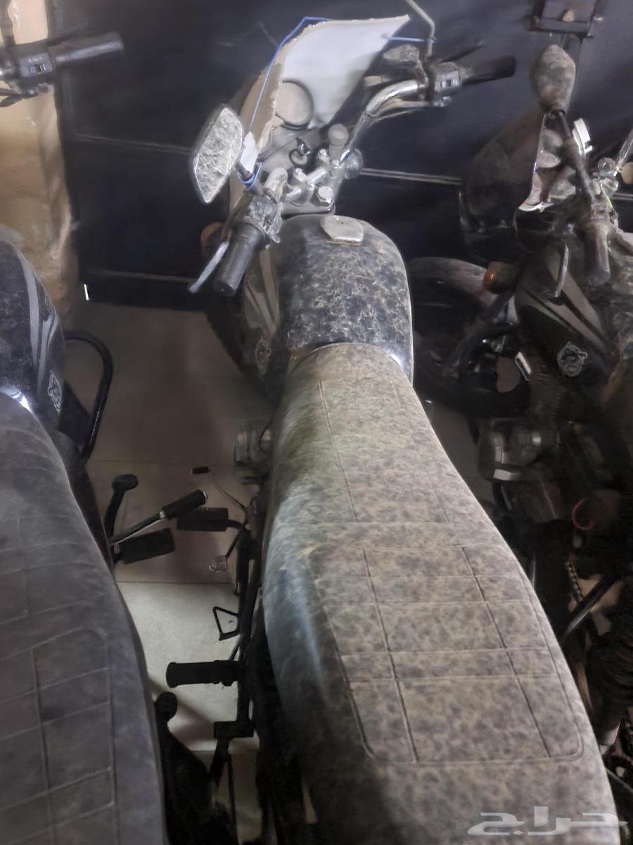 8 دبابات تايغر مستخدمة الممشى 5499 الي 841464535085697922112