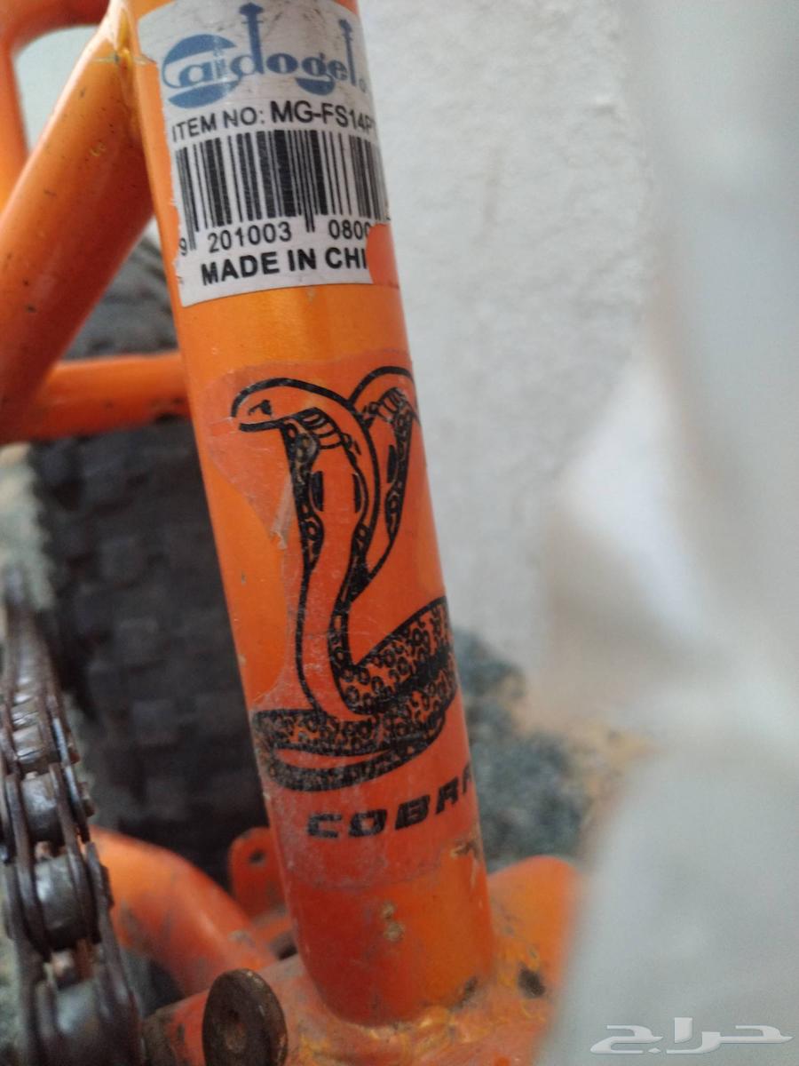 Clean Cobra bicycle for rent, used for two years, price limit 70 SAR64387509017474113