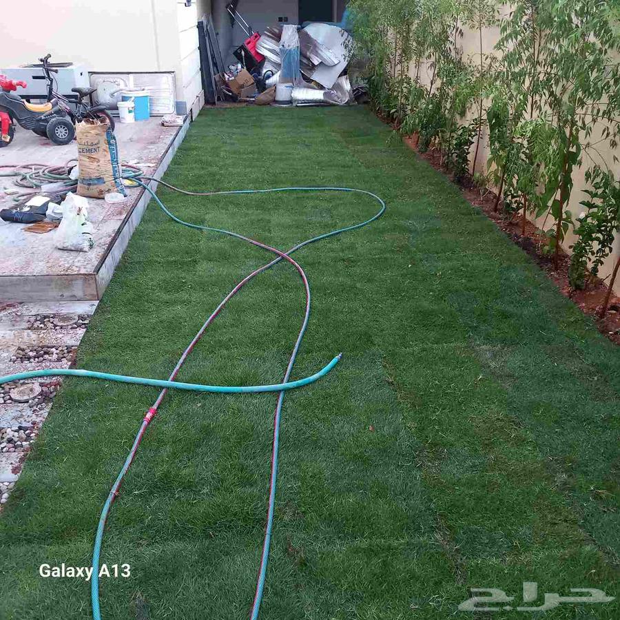 ثيل طبيعي فرنسي C200064381548374019111