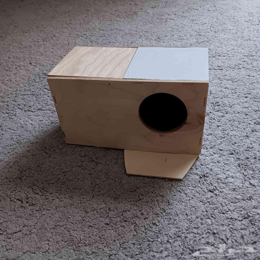 Zebra Bedding, Budgie Bedding, Rose and Crowan64386501313282112