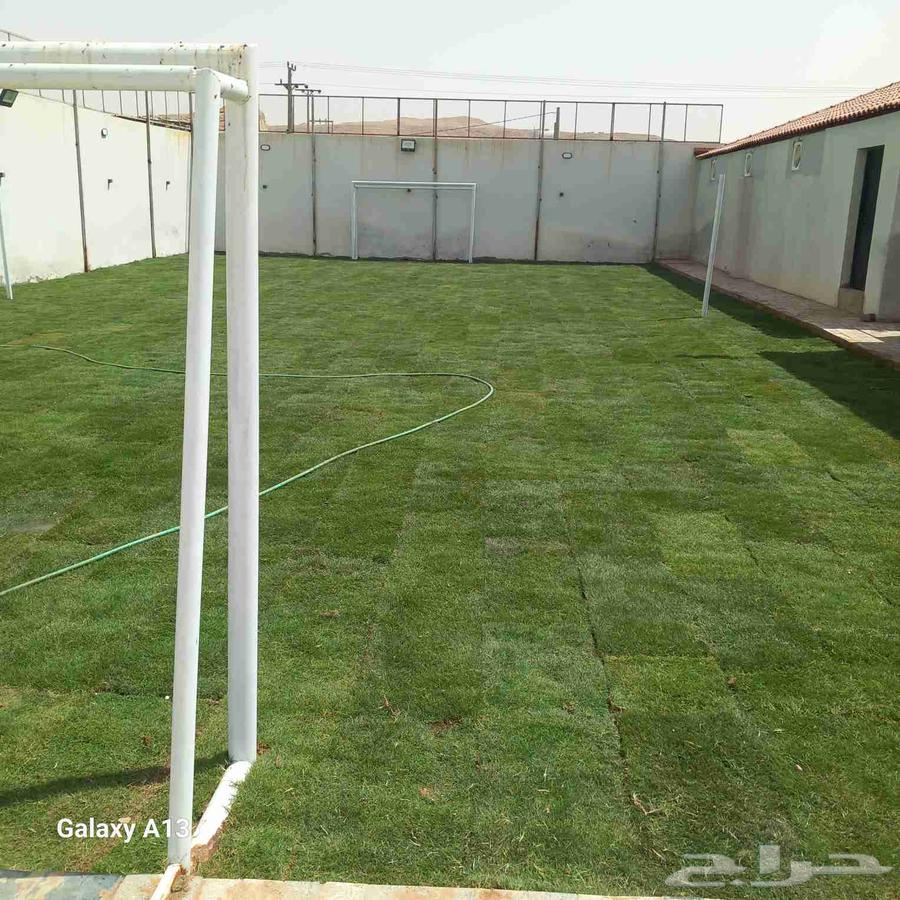 ثيل طبيعي فرنسي C200064381548374019110