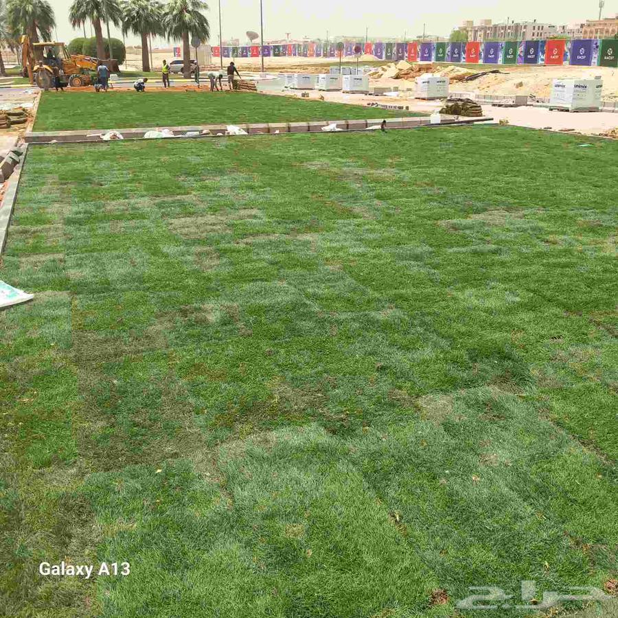 ثيل طبيعي فرنسي C200064381548374019112