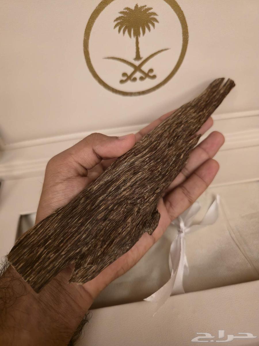 شنطة إهداء جلد مع كسرة عود هندي64383206436866112