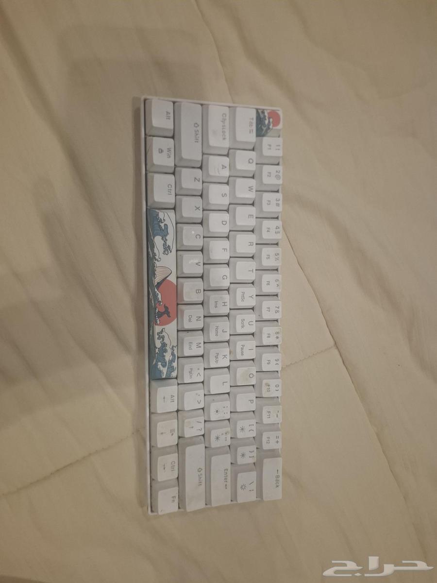 كيبورد MAGEGEE ريد سوتش السعر 100 والتوصيل 20 مستعمل64389571543810110