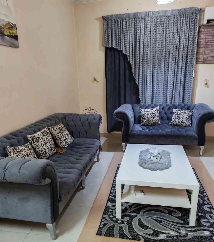 7-person defect-free sofa with curtain and carpet 500 SAR64379152617985111