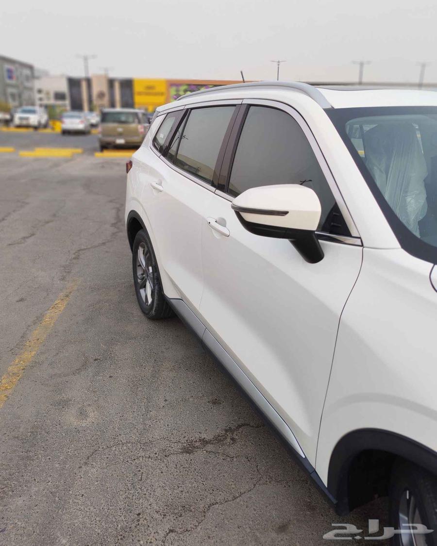 فورد تيريتوري 2023 فئة الترند (نص فل)64529938634241110