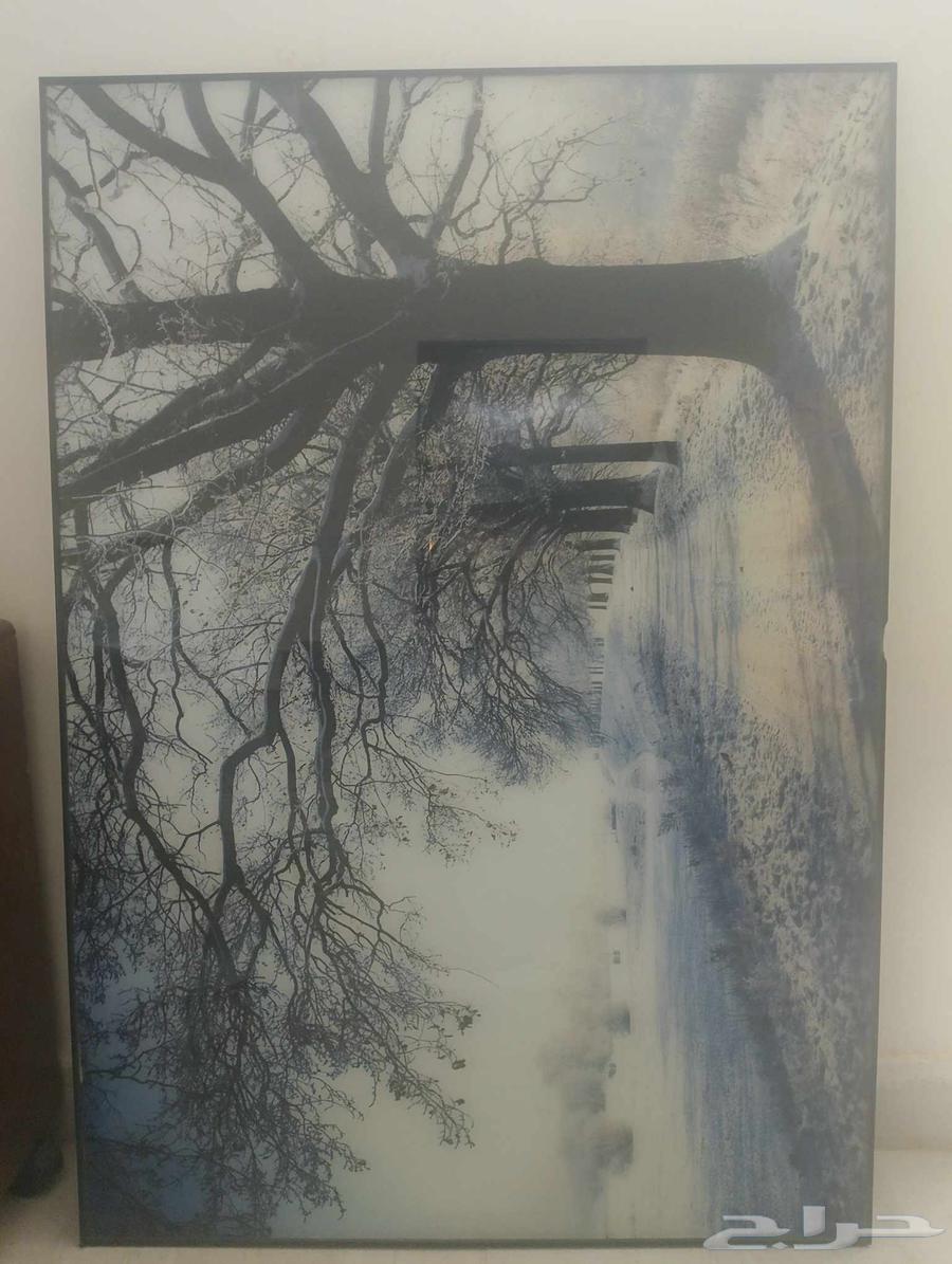 2 برواز للبيع ع السوم توصيل مجاني جميع أنحاء الرياض و الخرج64383386587649111