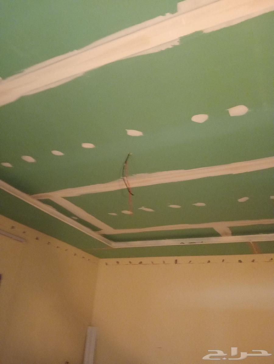 Gypsum Board Dammam63617657901441111