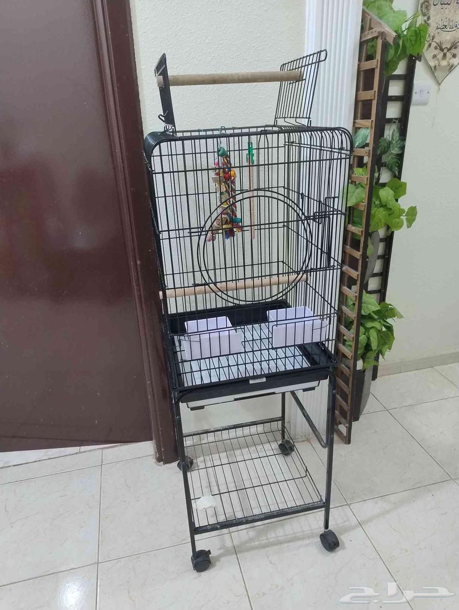 قفص طيور64377345433217110