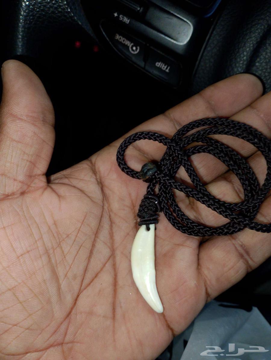 قلاده عقيق وناب واجحار كريمه64391202164611110