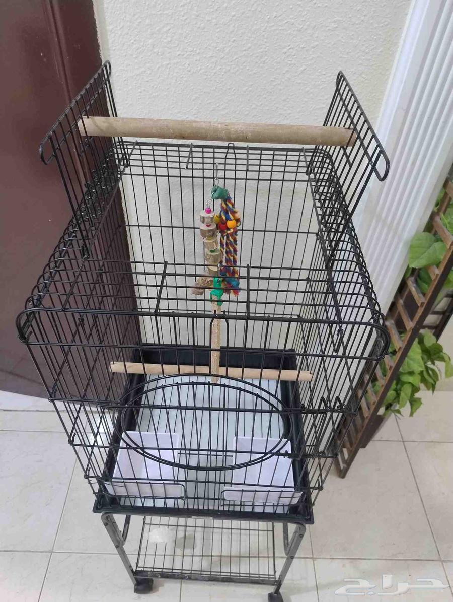 قفص طيور64377345433217112