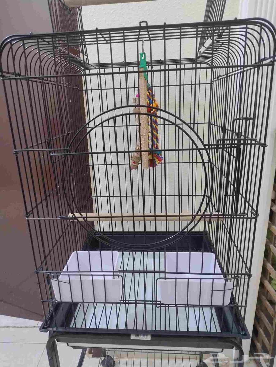 قفص طيور64377345433217111