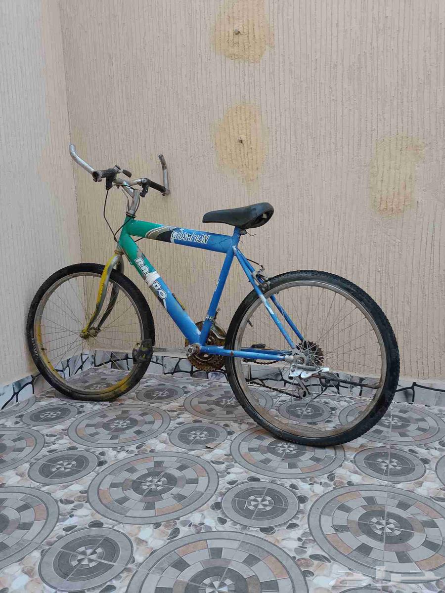 سيكل تعشيق للبيع على السوم64387369333891110