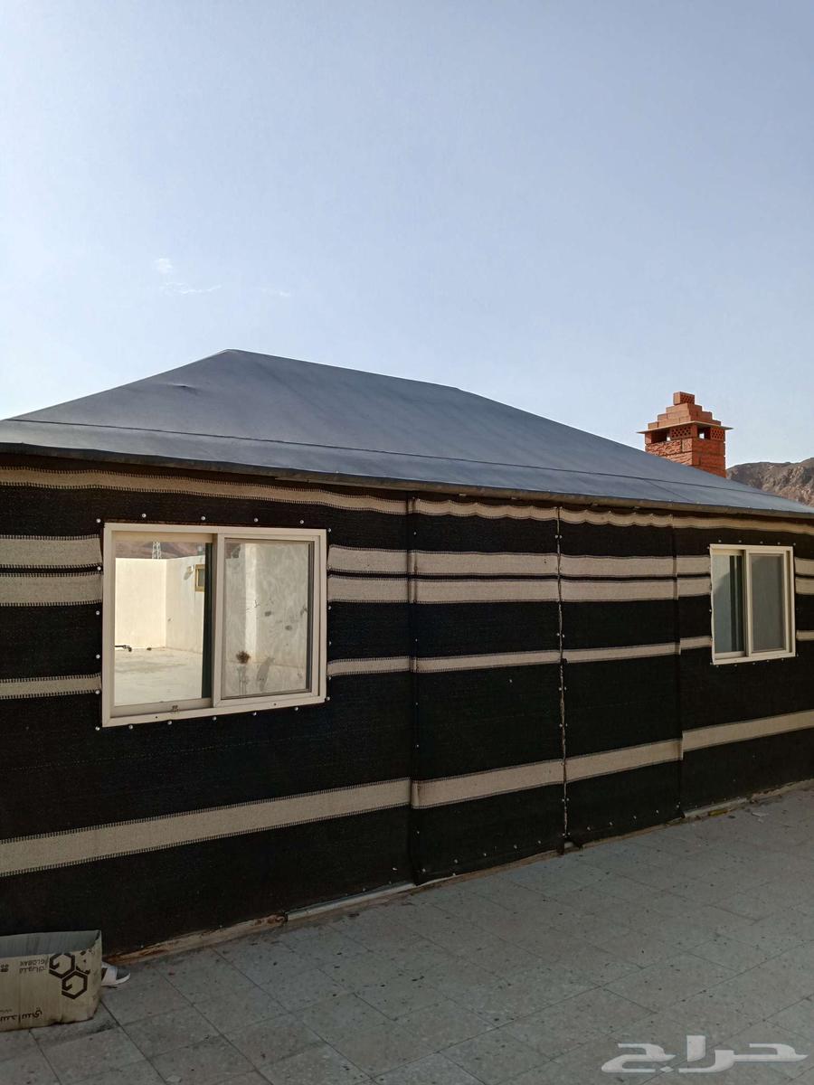 للبيع خيمة (بيت شعر) تفصيل 4 664386459343745112