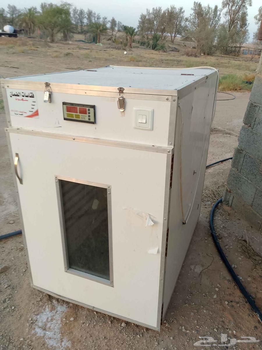 Faqasa and Netafa64384272914179112