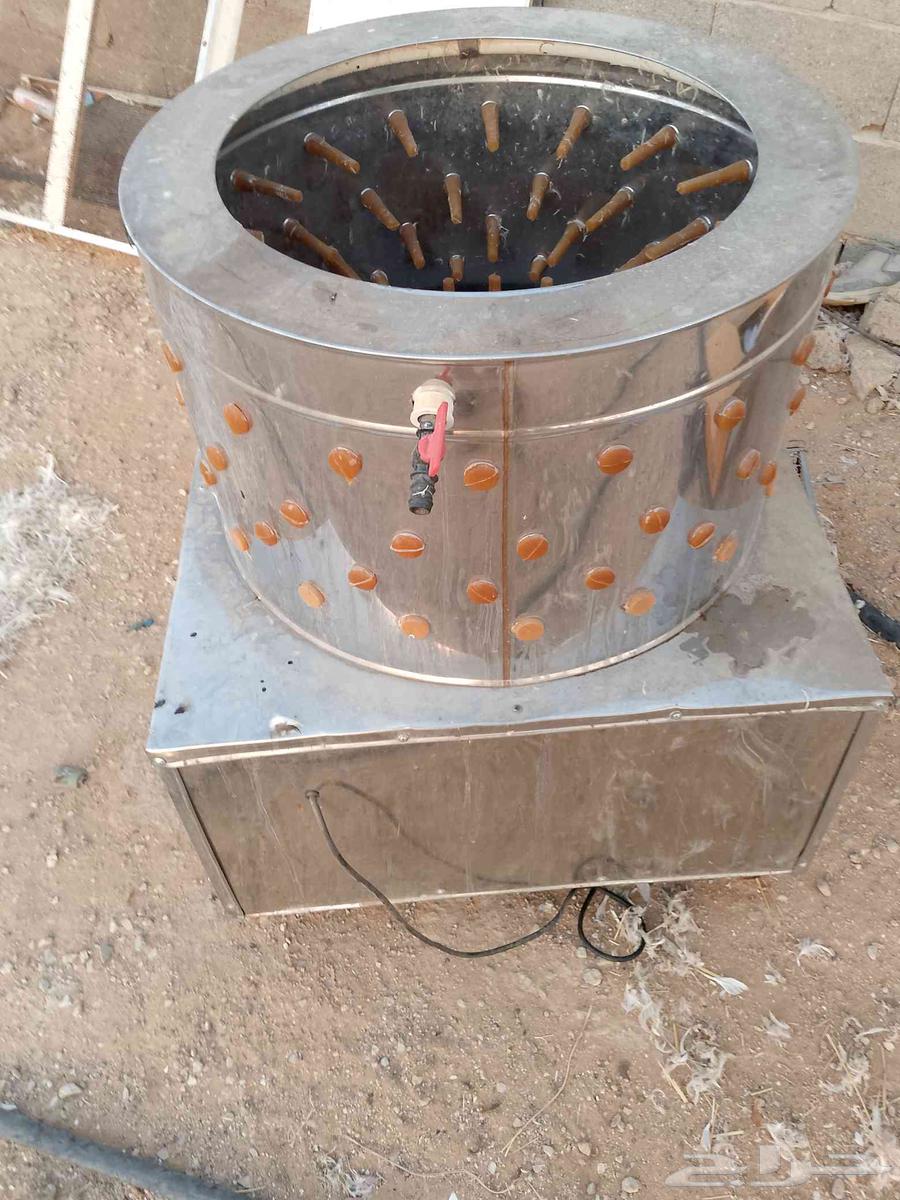 Faqasa and Netafa64384272914179110