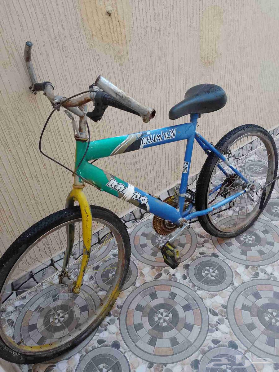 سيكل تعشيق للبيع على السوم64387369333891111