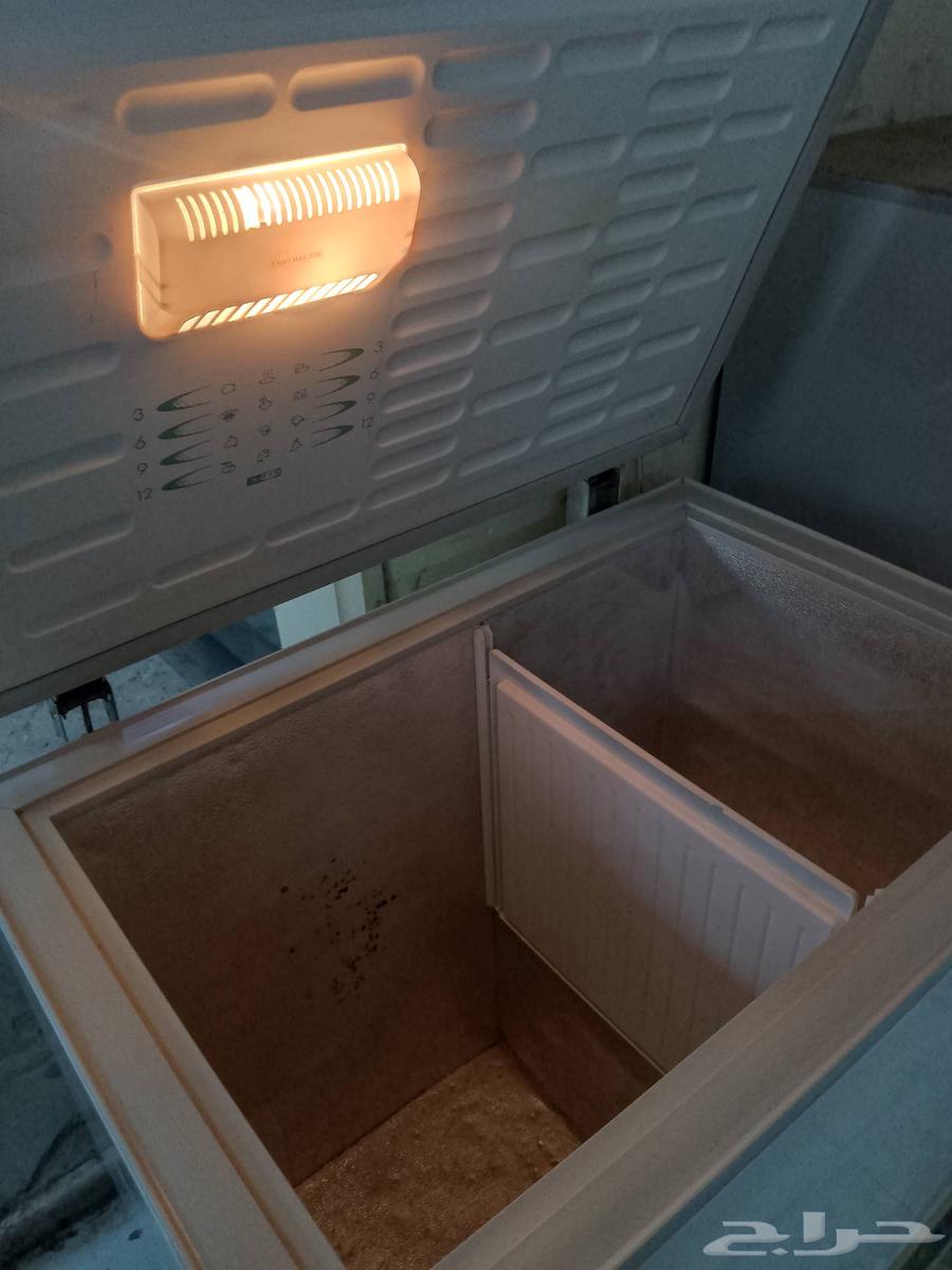 الفريزر للبيع64391784135298114