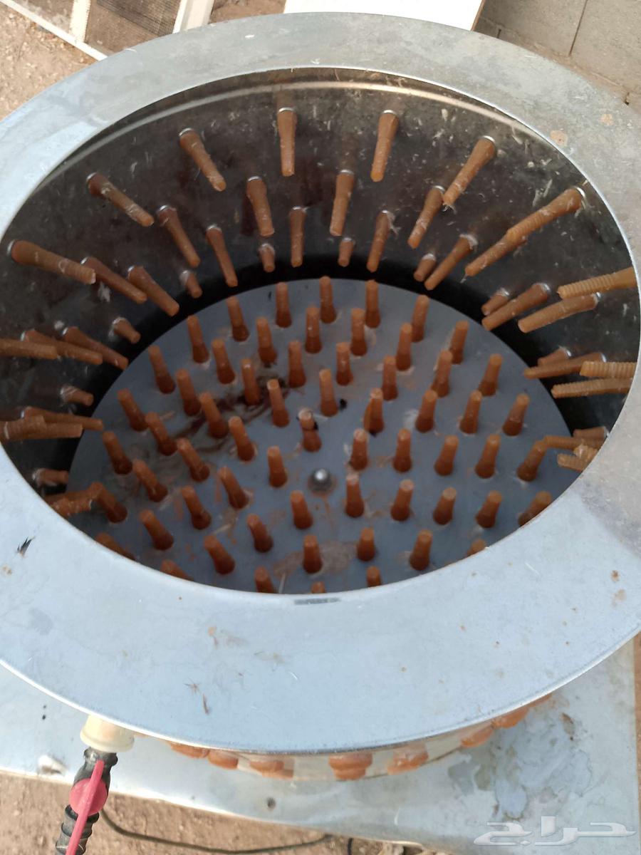 Faqasa and Netafa64384272914179111