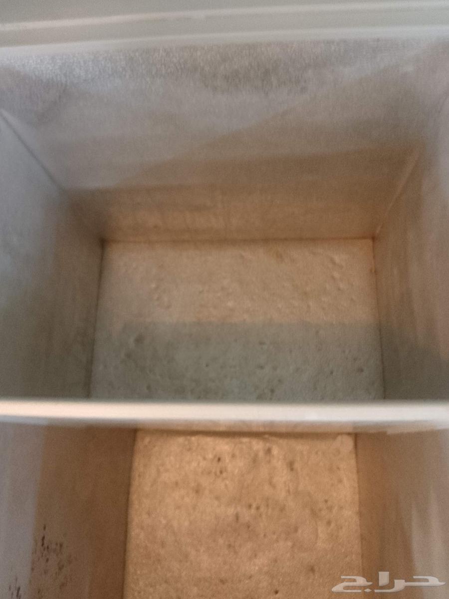 الفريزر للبيع64391784135298112