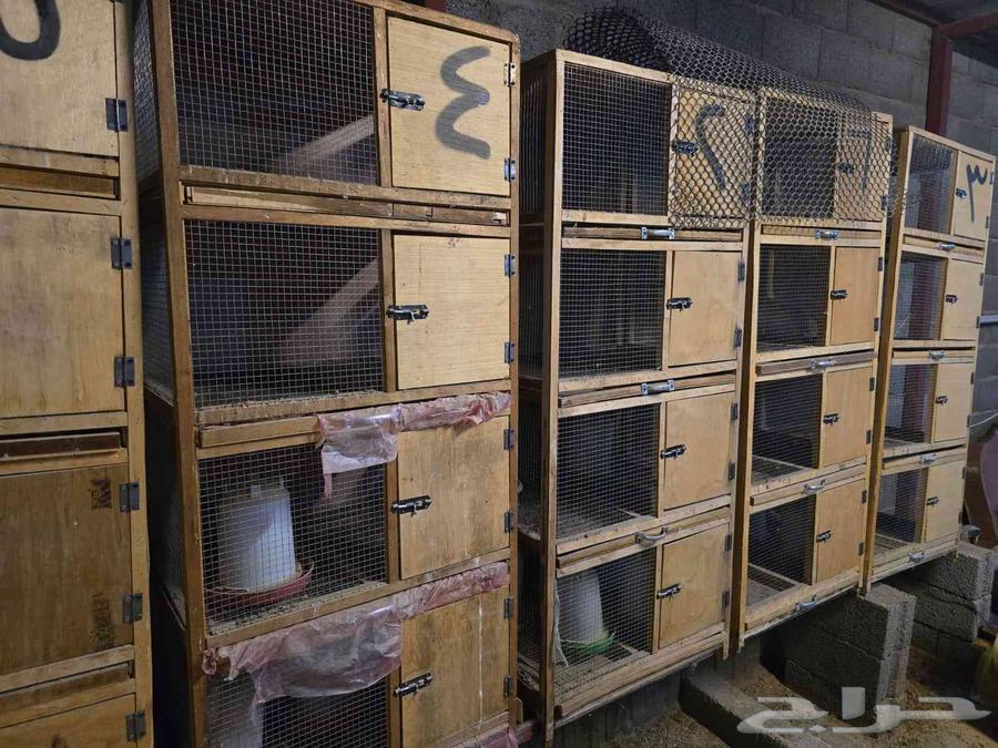 محاكر خشب للبيع64383885289603111