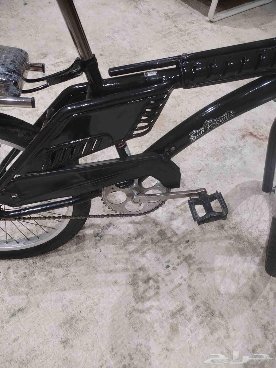 رامبو اندنوسي خابور اصلي للبيع السوم حدي20064381864593154110