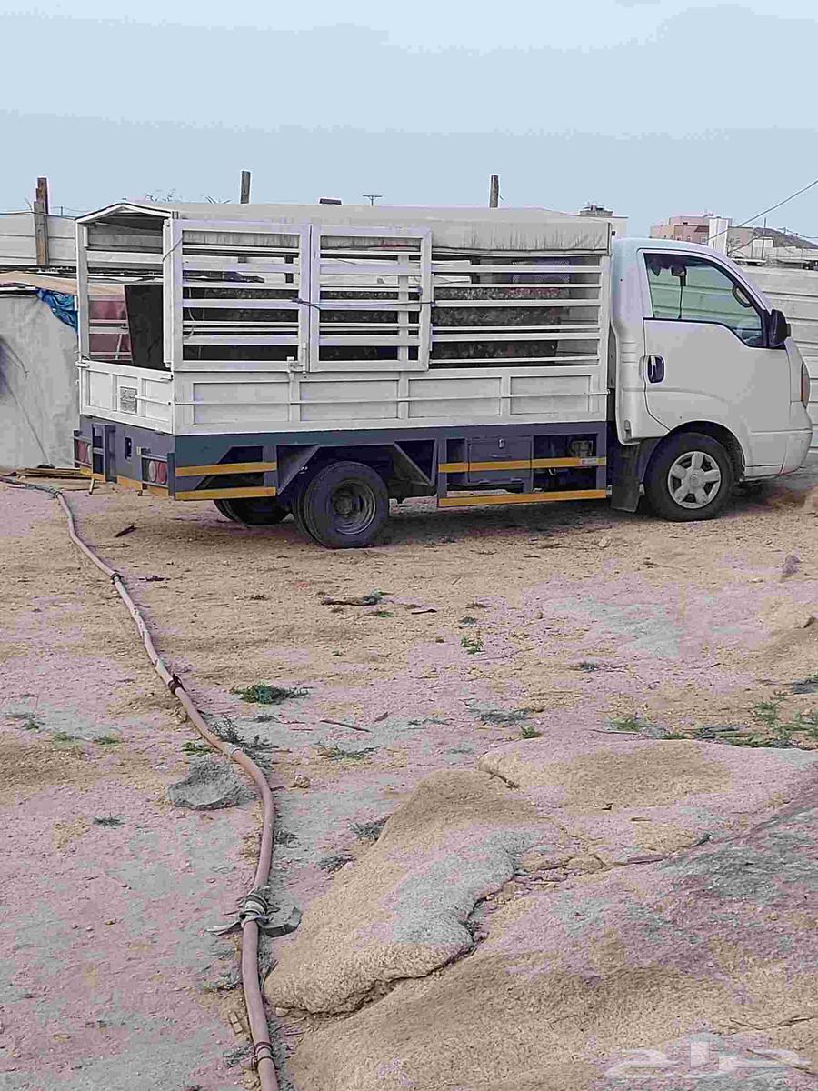 كيا دينه للبيع 200564533204754817110