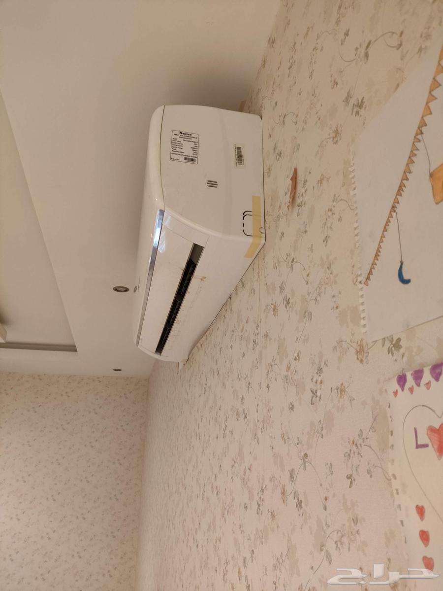 مكيف جري 24 مع النحاس والريموت بارد64387369155969111