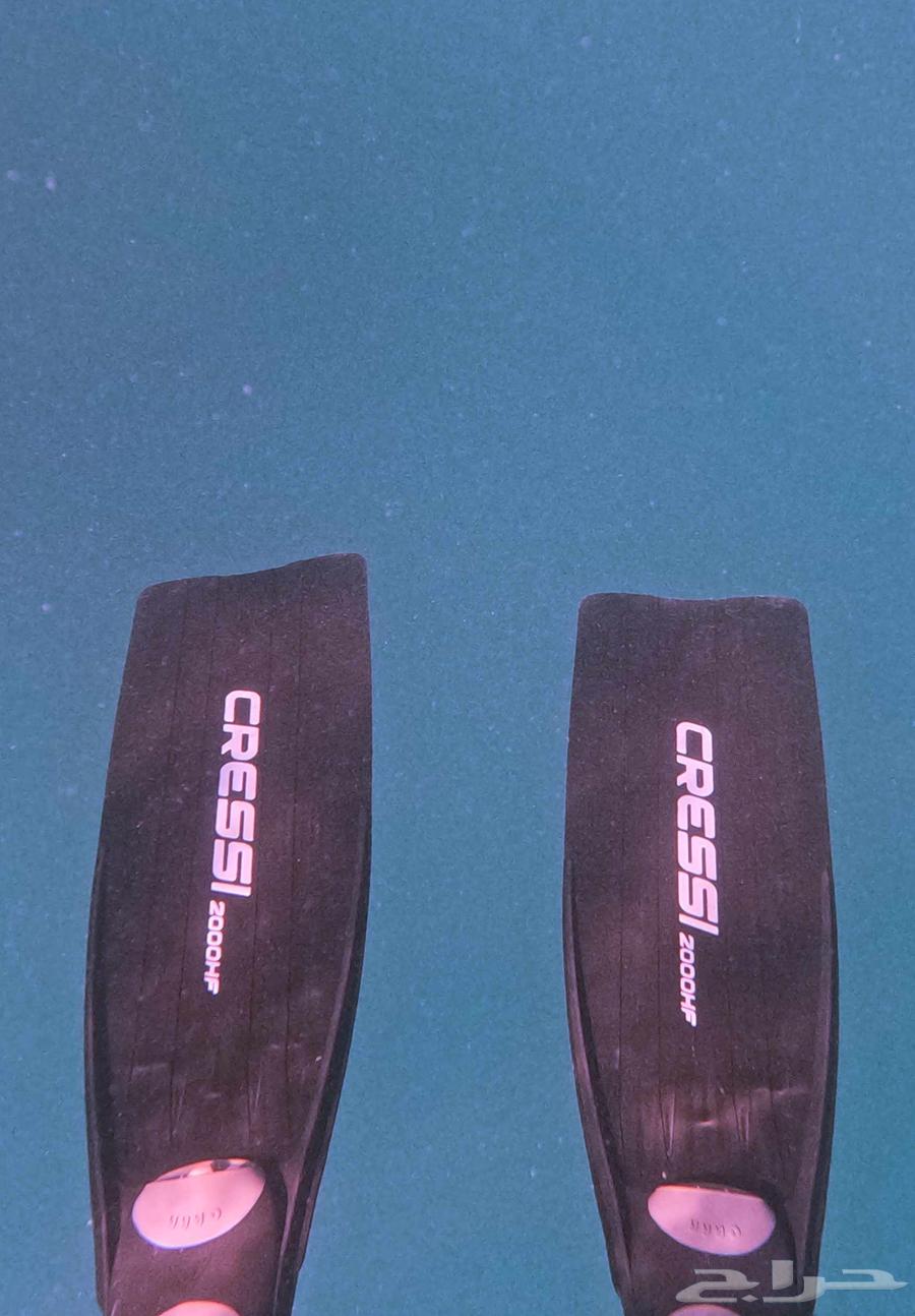 زعانف غوص حر64383011382019110