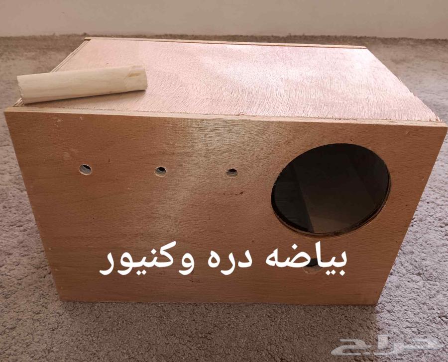 Zebra Bedding, Budgie Bedding, Rose and Crowan64386501313282113