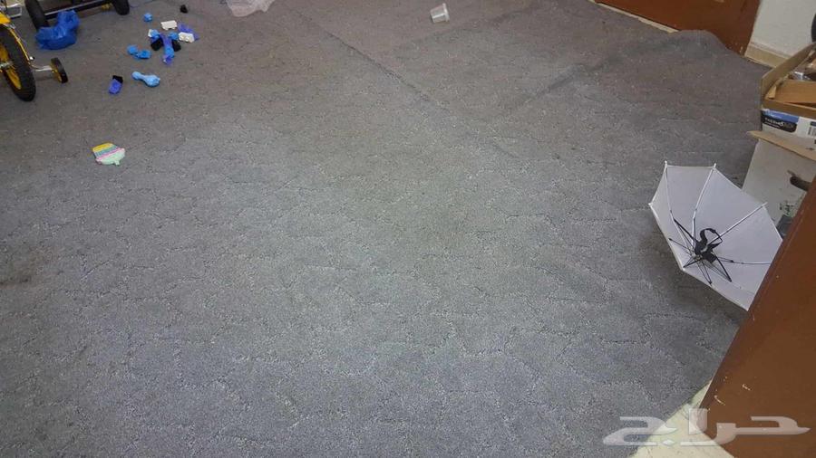 Two carpets, each measuring 4×5, for sale for 100 SAR64390485485825112