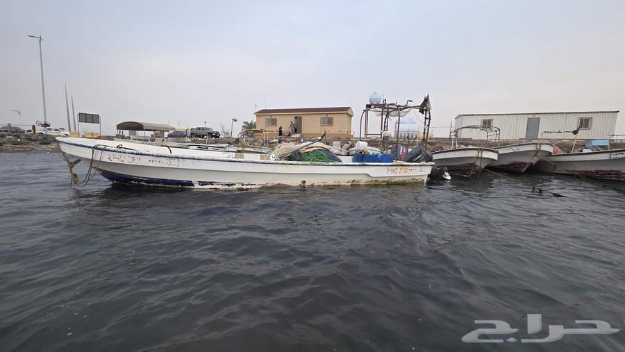 قارب صيد طوله 8 متر بجميع أجهزته مع شبك صيد صابي وراسخ64387397371522110
