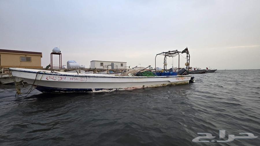 قارب صيد طوله 8 متر بجميع أجهزته مع شبك صيد صابي وراسخ64387397371522111