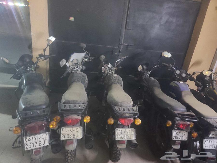 8 دبابات تايغر مستخدمة الممشى 5499 الي 841464535085697922114